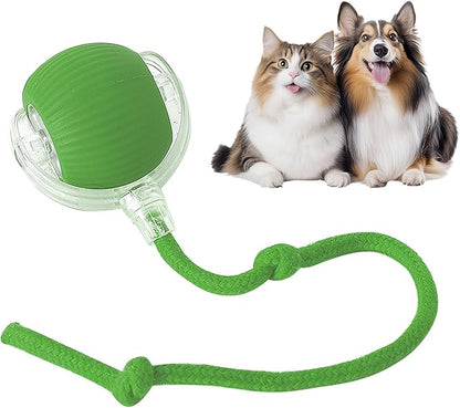 RolliePet smart chase pet toy ball